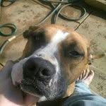 John Beyer - @beyer.john - Instagram