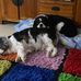 John Beyer - Facebook