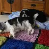 John Beyer - @john.beyer6 - TikTok
