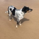 John Biggart - @biggart_john - Instagram