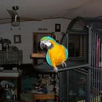 John Biggerstaff - @john.biggerstaff.946 - Instagram