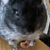 Johnn Biggs - @johnn.biggs - TikTok