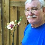 johnbill - @johnbill3435 - Instagram
