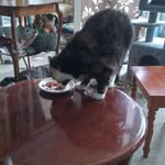 John Billett - @billettjohn4 - Instagram