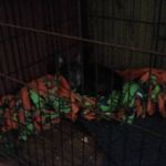 John Billups - @johnbillups32007 - Instagram