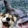 Binger John - @binger.john - TikTok