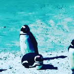 @john_binger - Instagram