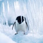 John Binger - @binger.john - Instagram