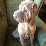 John Bircher - @bircher.john - Instagram