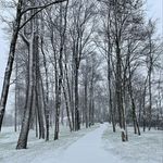 Jonathan Birk - @john__birk - Instagram
