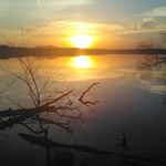 John Bisson - @john.bisson.330 - Instagram