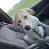 John - @john_meyer_24 - TikTok