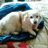John Bjornson - @john.bjornson5 - TikTok