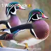John Blackerby - @john.blackerby4 - TikTok