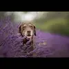 neiljohnblacker - @neiljohnblacker - TikTok