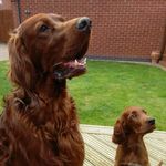 John Blackham - @johnblackham1964 - Instagram