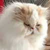 John Blackham - @john.blackham - TikTok