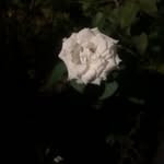 John Glenn Gatdula - @johnblakepray - Instagram