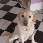 John Blakemore - @blakemore6169 - Instagram