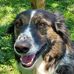 John Blakeslee - Facebook