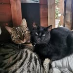 John Blaney - @john_blaney0 - Instagram