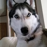John Blank - @blank40162 - Instagram