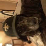 John Blank - @johnblank17 - Instagram