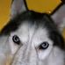 John Blank - Facebook
