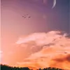 John Blanton - @johnblanton1 - TikTok