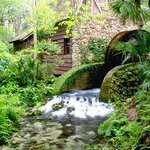 johnsie blasingame - @johnsieblasingame - Instagram