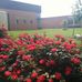 Camp Gladiator - John C. Blazier Elementary - Facebook