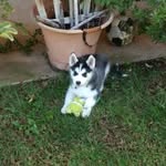 John Baikushev - @johnblegendary - Instagram