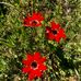 John Blevins - Facebook