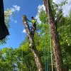John Blevins - @john.blevins62 - TikTok