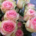 John Huijgen - @bloemenbedrijf_john_huijgen - Instagram