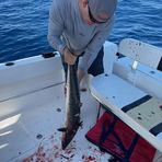 John Blumer - Facebook