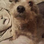 John Blumer - Facebook