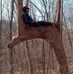 John Bock - Facebook