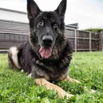 John Bocook - @john.bocook - Instagram