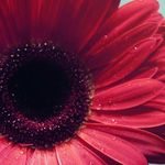 John Boddy - @boddy62 - Instagram