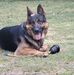 John Boddy - Facebook