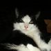 John Boddy - Facebook
