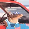 Johnny bogert - @johnnybogert - TikTok
