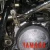 John bohn - @john.bohn29 - TikTok