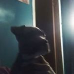john boisseau - @johnboisseau - Instagram
