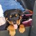 John Bok - Facebook