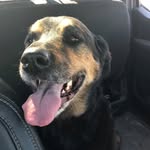 John Bokenfohr - @johnbokenfohr - Instagram