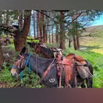 John Boley - @tomacboley - Instagram