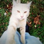 John Bomar - @john.bomar.902 - Instagram