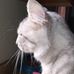 John Bone - Facebook